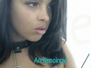 Andiamoinpvt