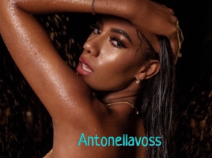 Antonellavoss