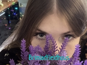 Brimladfieldhous