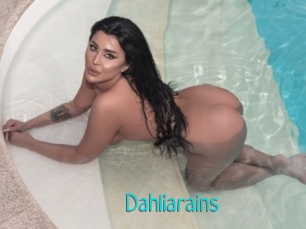 Dahliarains