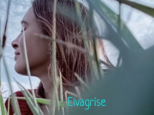 Elvagrise