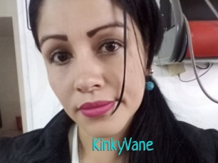 KinkyVane
