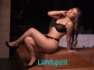 Liahdupont