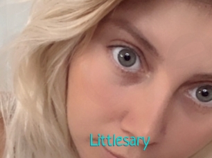 Littlesary