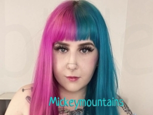Mickeymountains