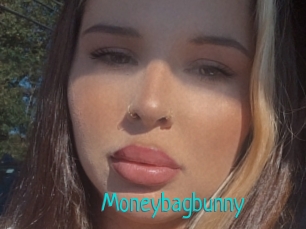 Moneybagbunny