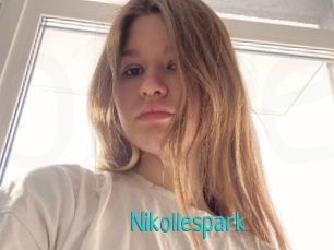 Nikollespark