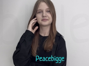 Peacebigge