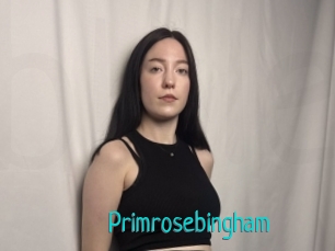 Primrosebingham