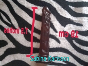 Sabina_Karlsson Blog Lesbienne