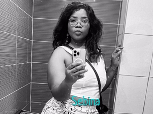 Sebina