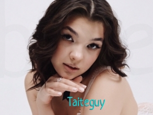 Taiteguy