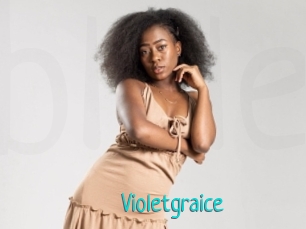 Violetgraice